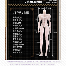 【予約】千颂礼宴 アソート+(基本ノーマル4種+単品ドール)