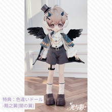 【予約】光与影 オールイン＋(ノーマル6種＋シークレット＋異色シークレット)