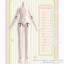 【予約】水果硬糖研究所ランダム 単品1箱