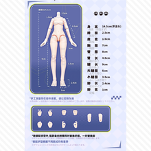 【予約】Eve Lynna 双面杀手 ランダム単品1箱