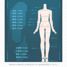 【予約】S.D.I ランダム単品1箱