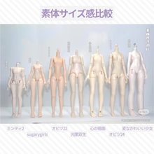 【予約】心の暗面 大胸素体