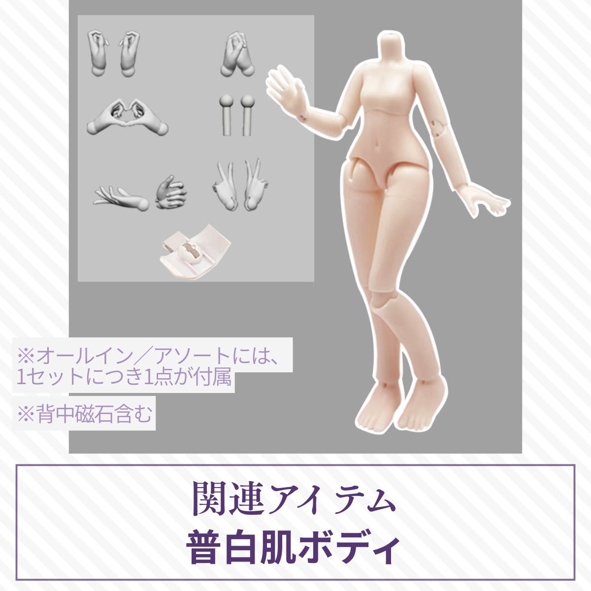 【予約】光与影 普白肌ボディ