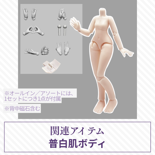 【予約】光与影 普白肌ボディ