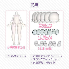 【仮予約】甜绒橱窗 オールイン＋(ノーマル4種＋シークレット＋単品ドール)