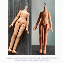 【予約】水果硬糖研究所 褐色素体
